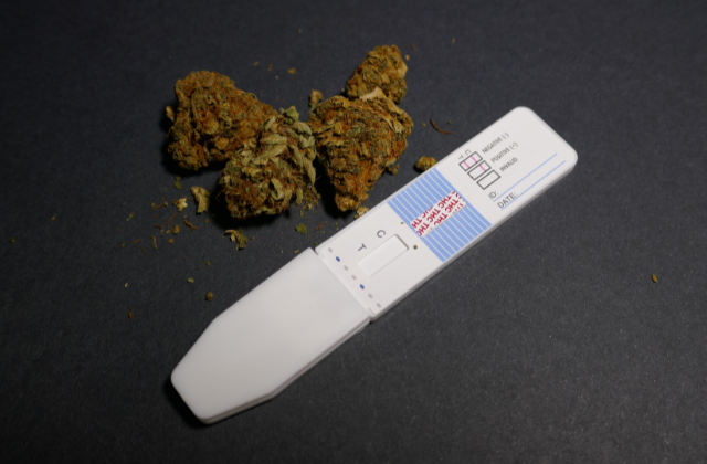 testing for weed